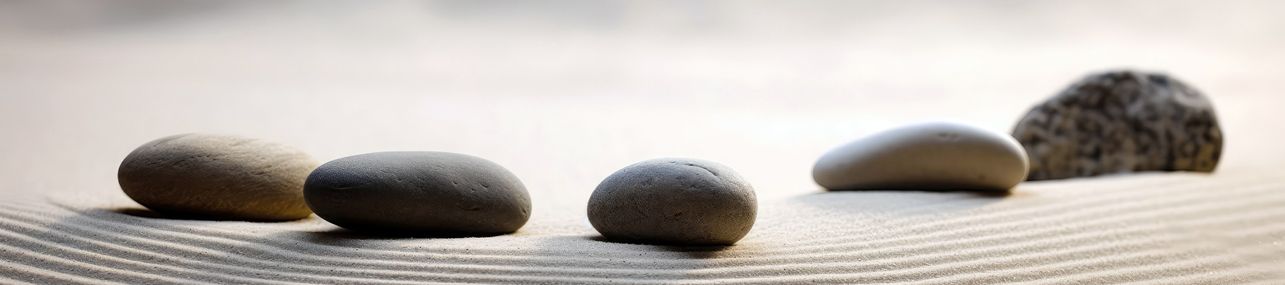 Testimonials - Point One Septic Services